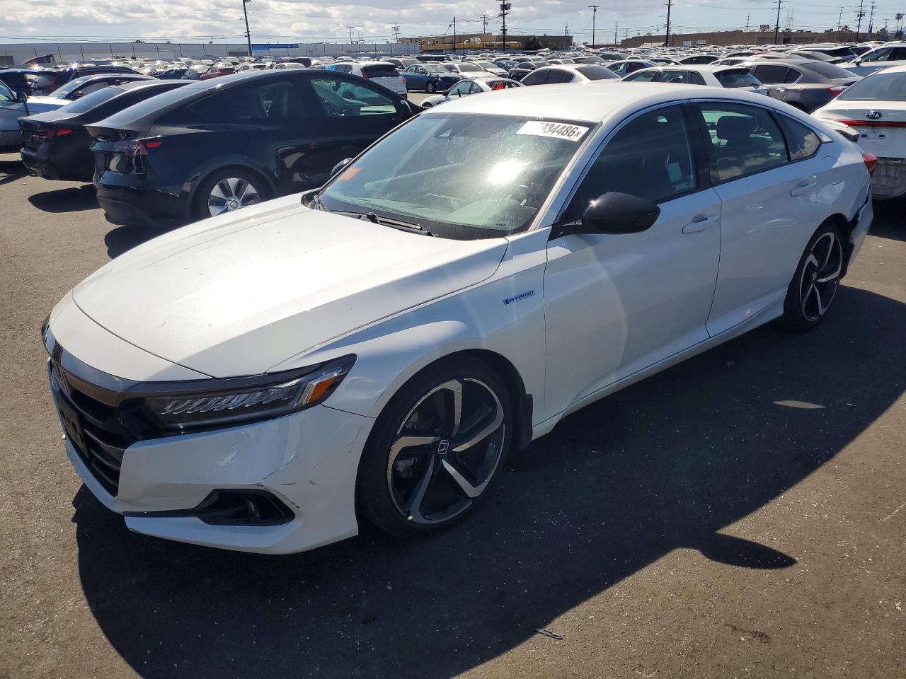 Salvage Honda Accord Image