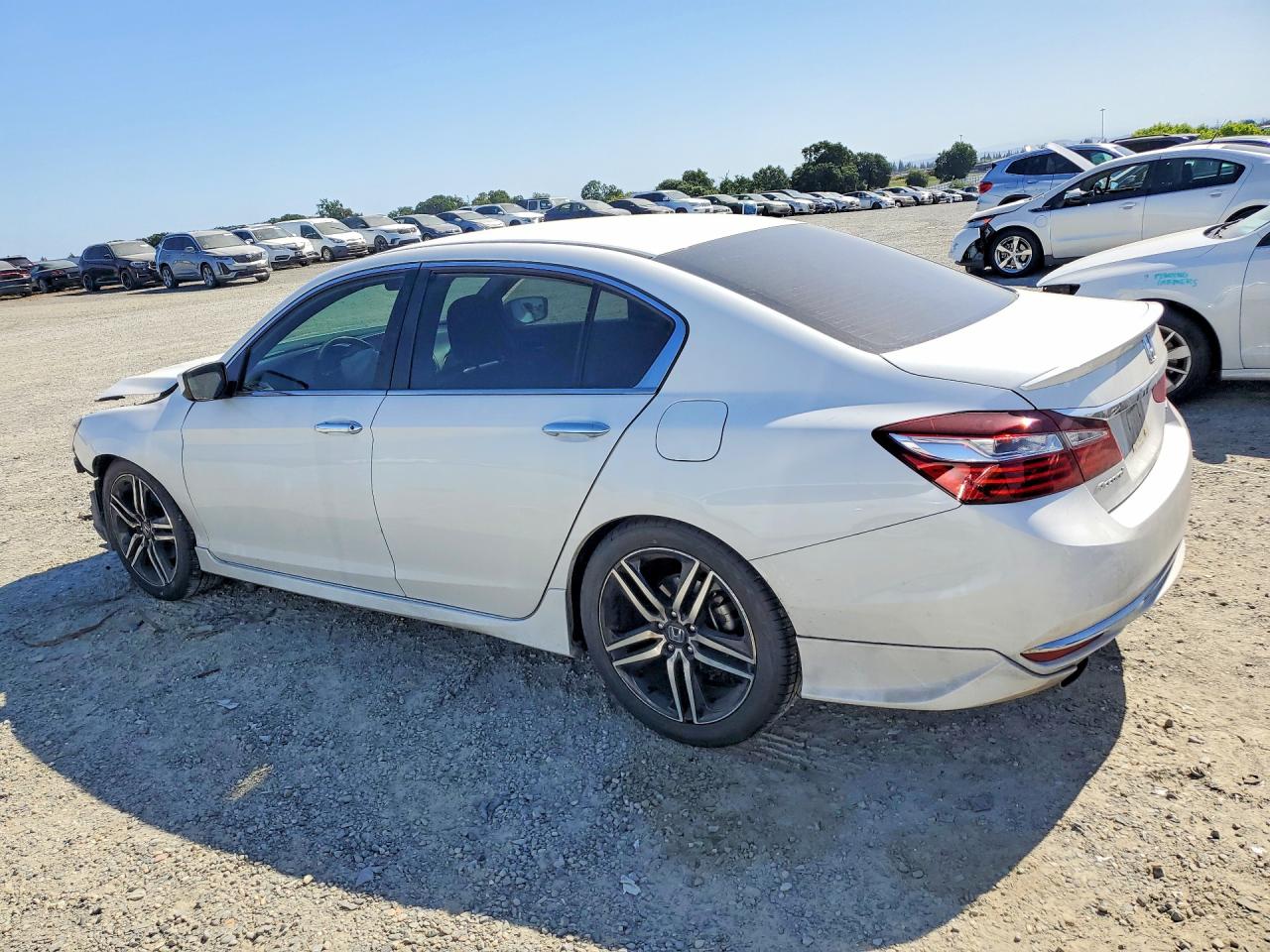 Honda Accord Sport