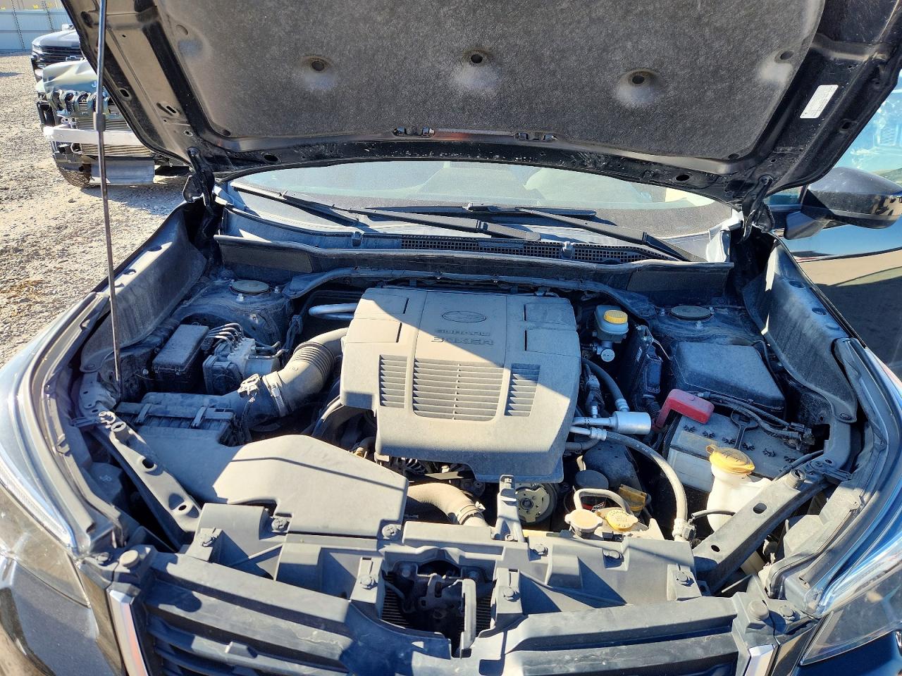Subaru Forester Premium