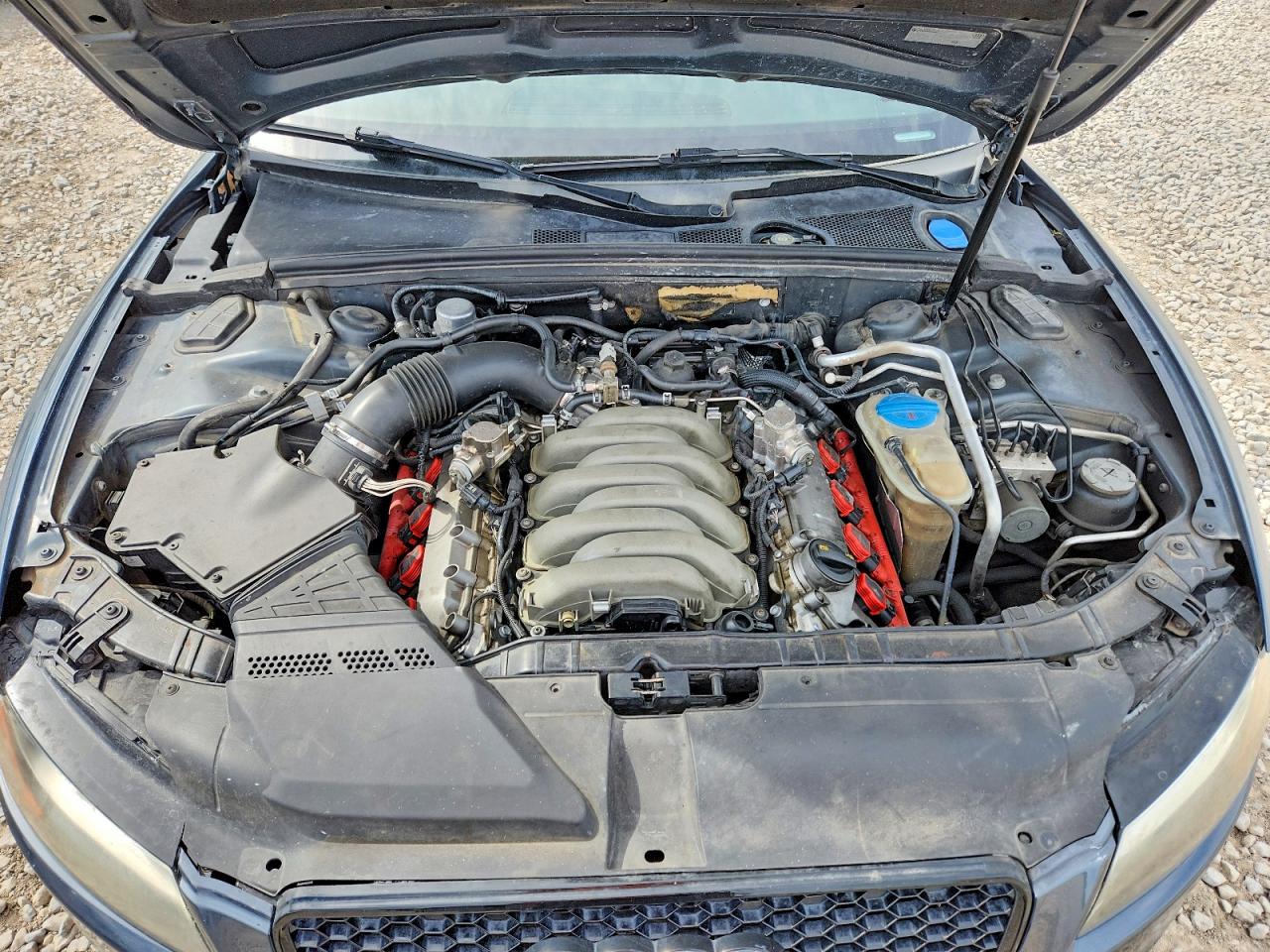Audi S5 Prestige