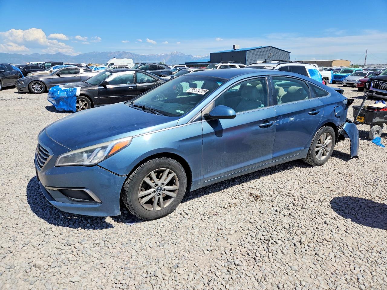 Salvage Hyundai SONATA Image