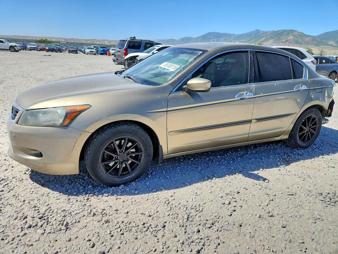 Salvage Honda Accord Image
