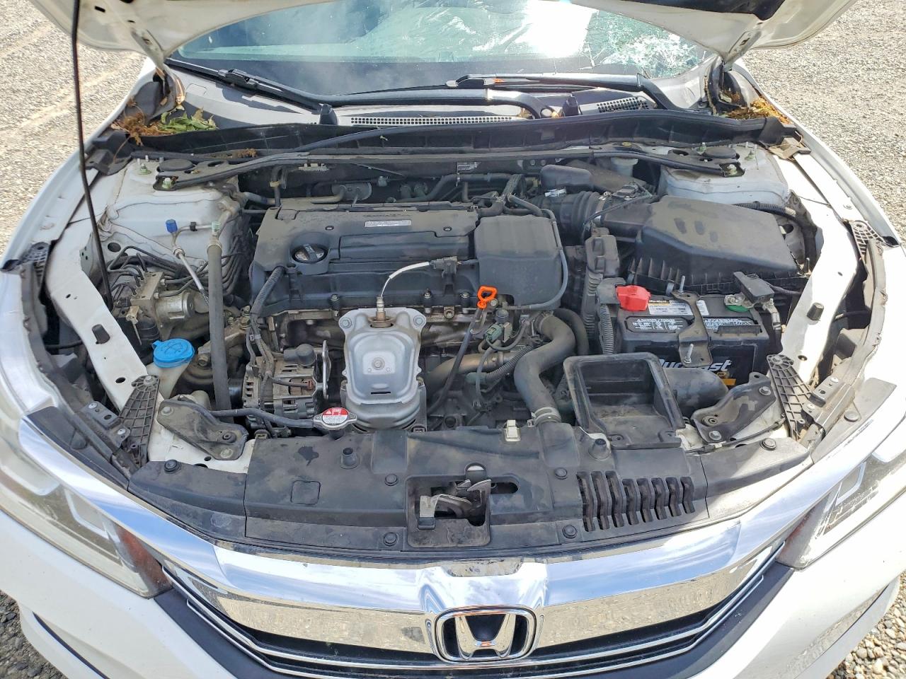 Honda Accord Sport