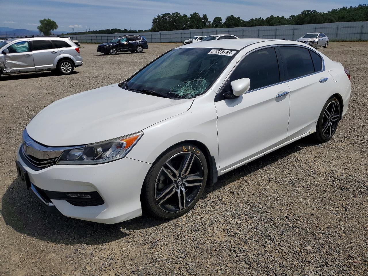 Salvage Honda Accord Image