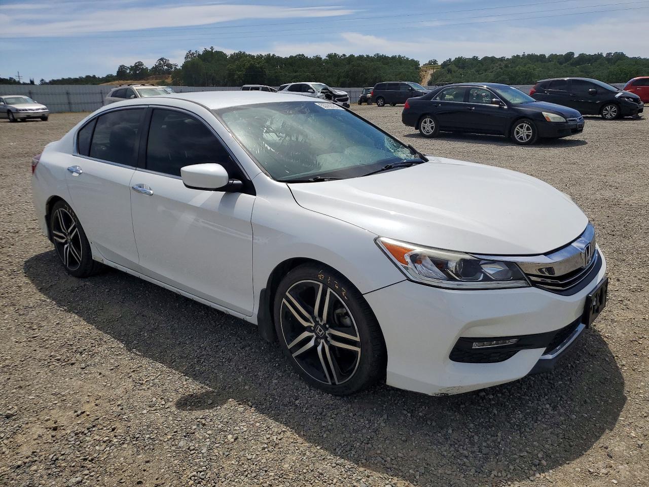 Honda Accord Sport