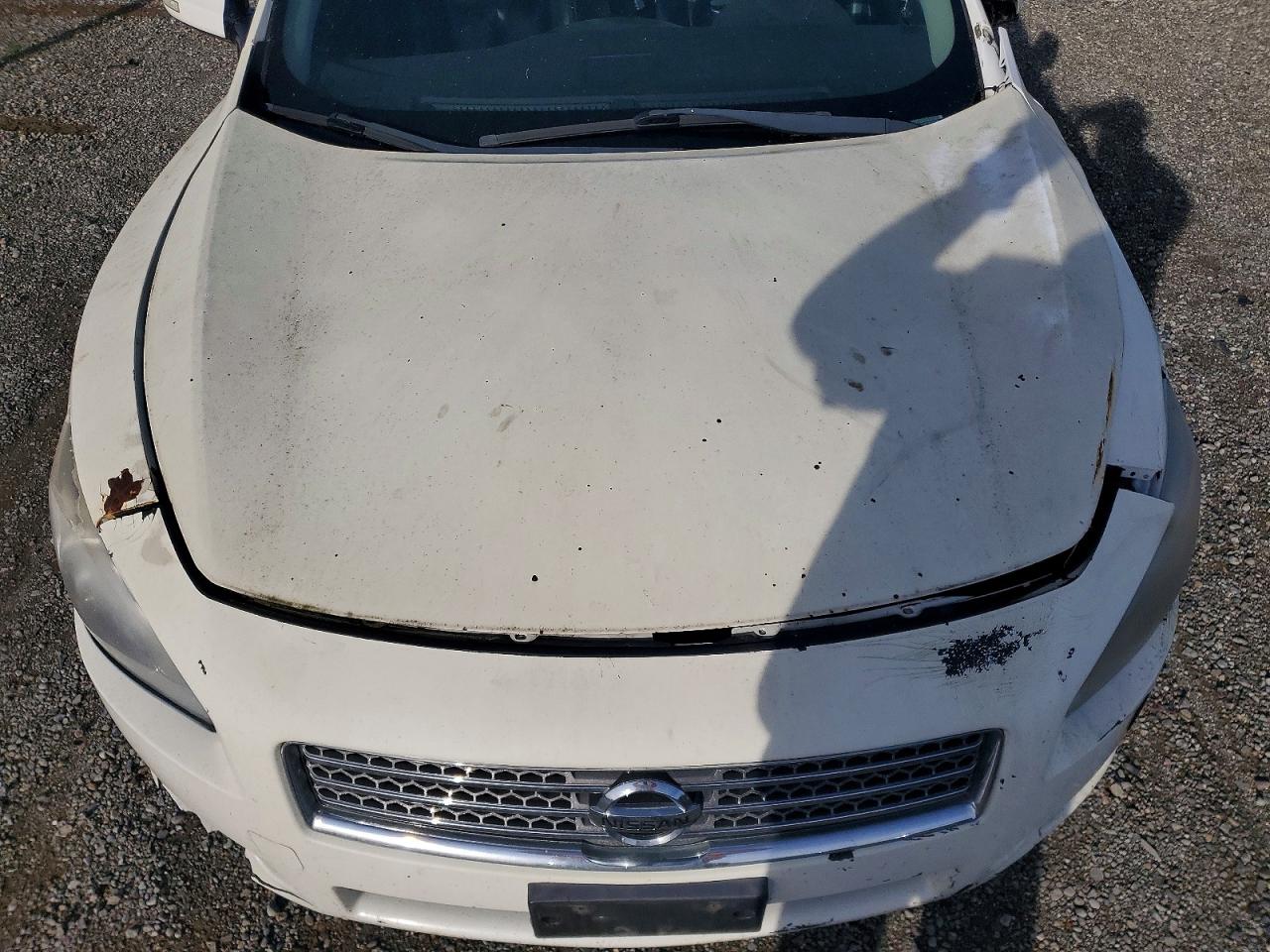 Nissan Maxima