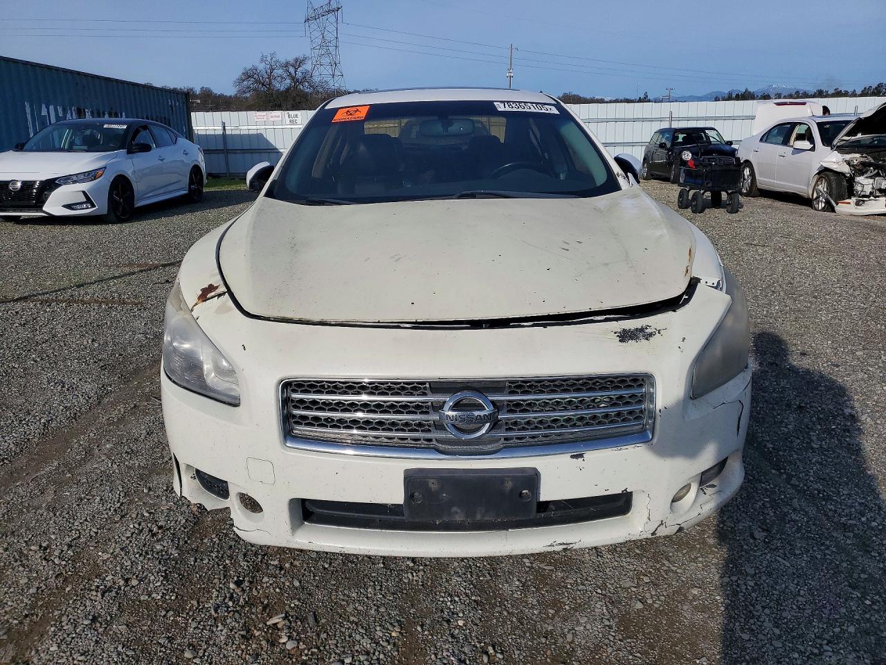 Nissan Maxima