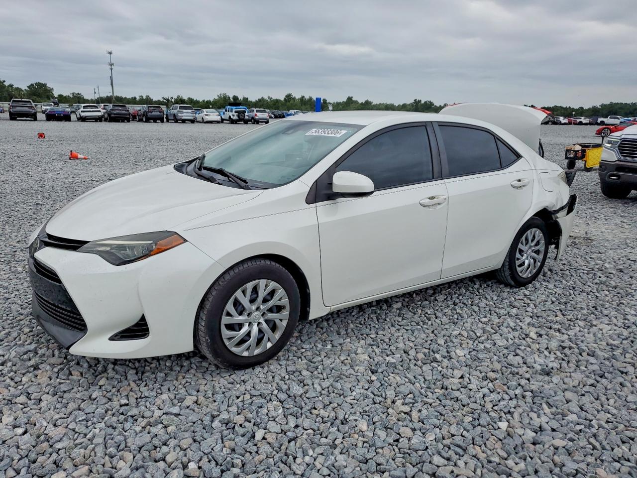 Salvage Toyota Corolla Image