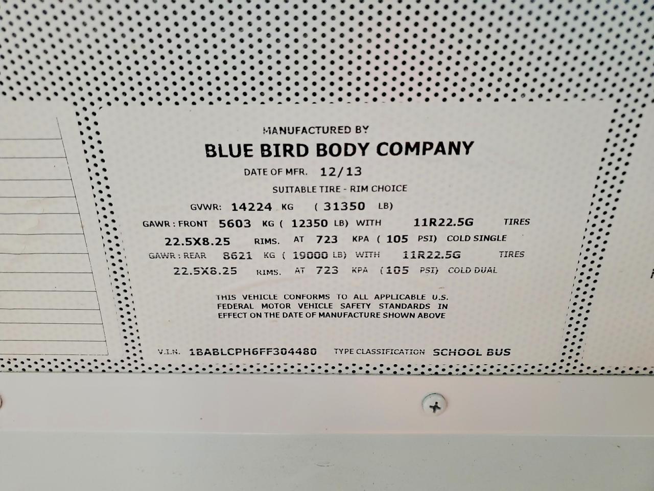 Bluebird Allamrican