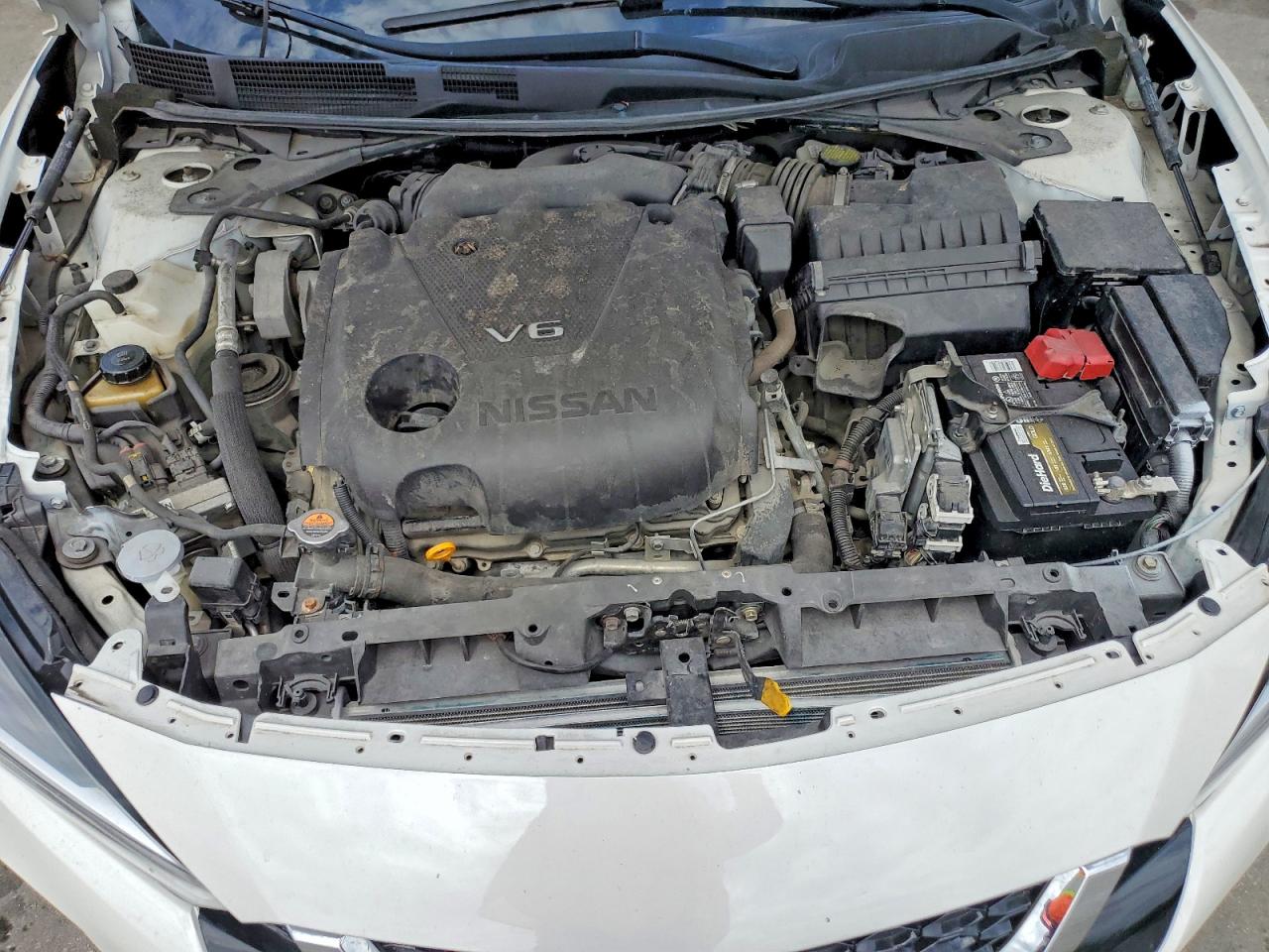 Nissan Maxima Platinum
