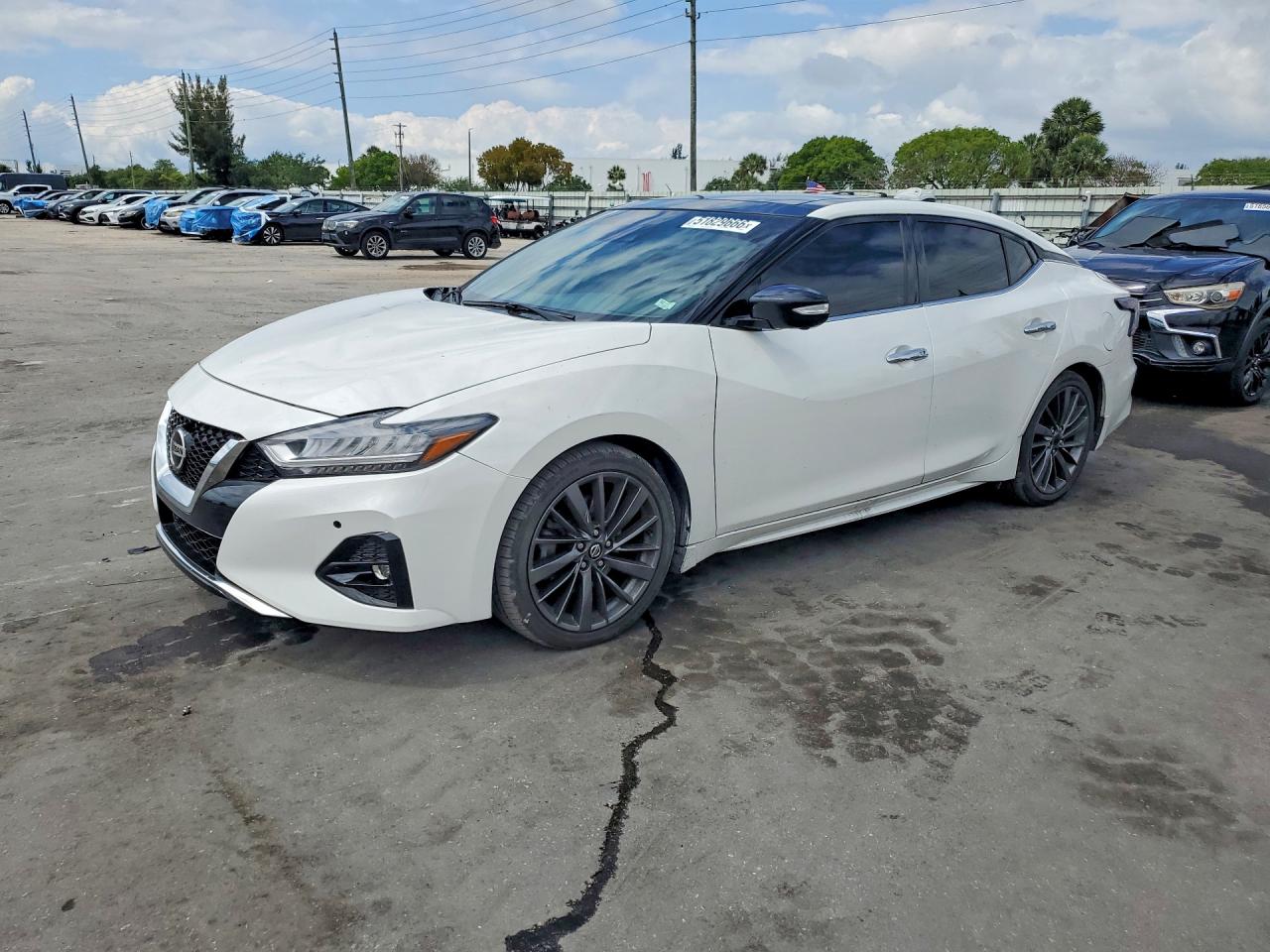 Salvage Nissan Maxima Image