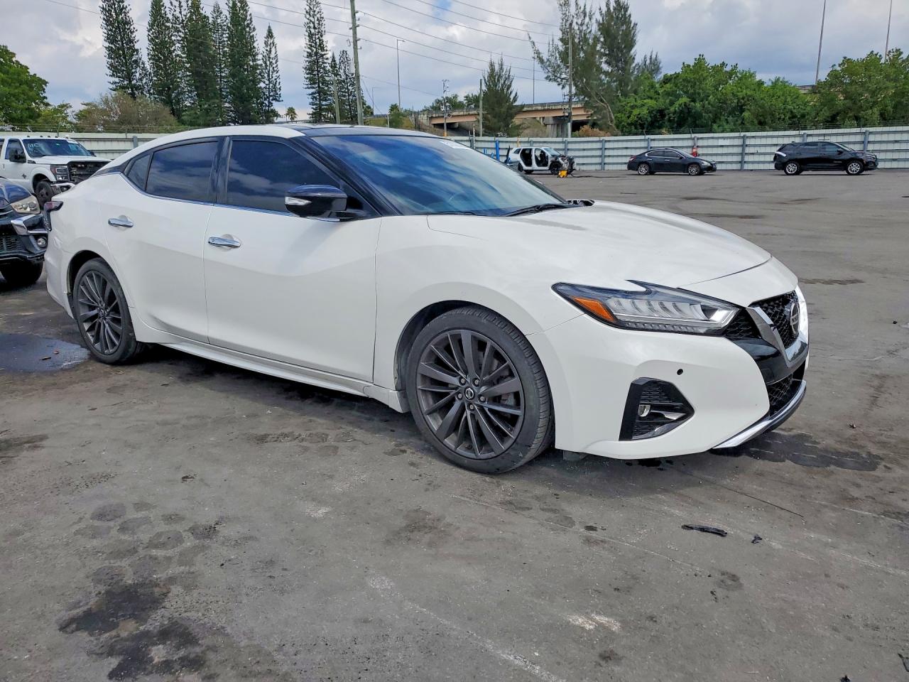 Nissan Maxima Platinum