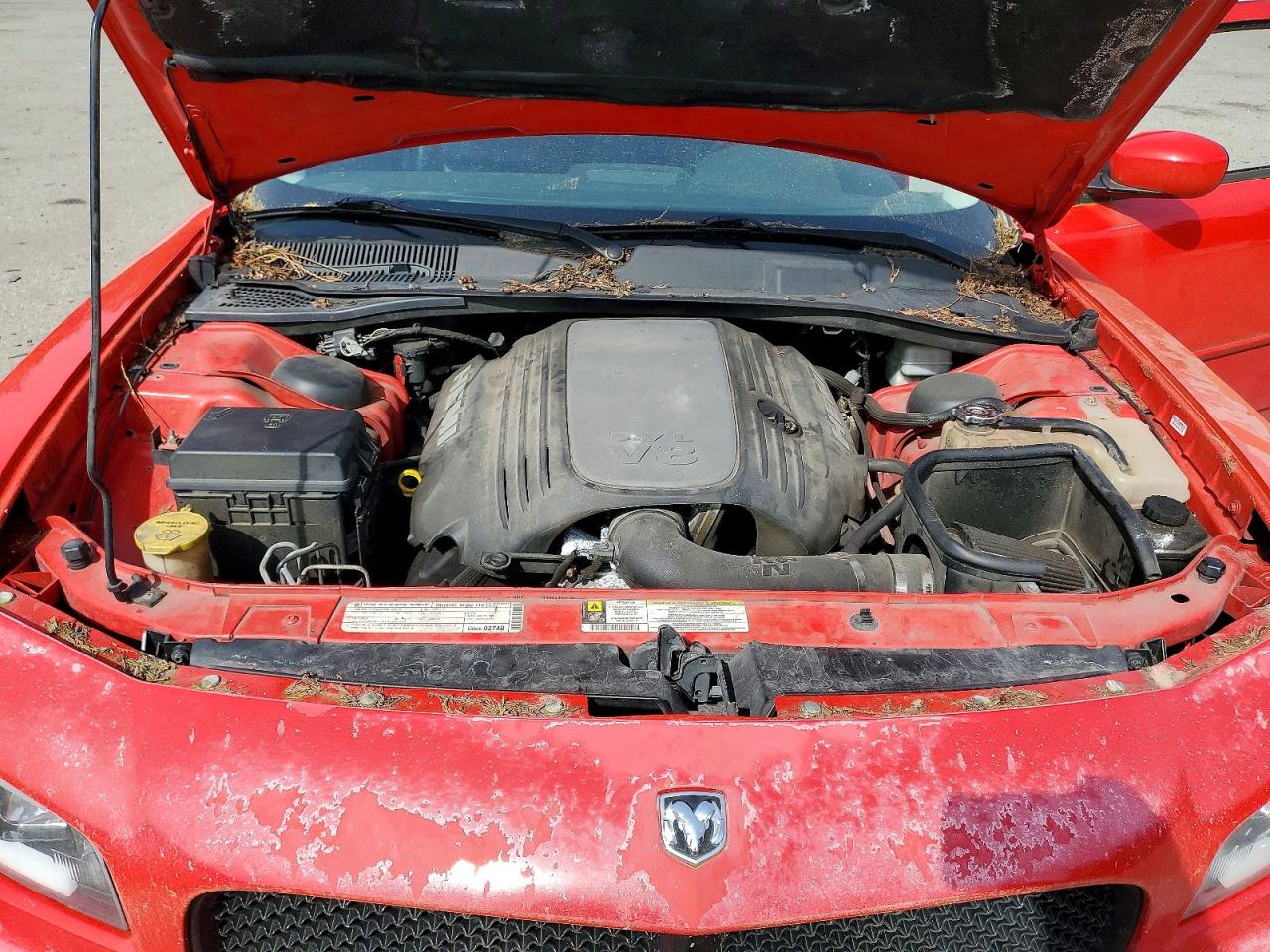 Dodge Charger R