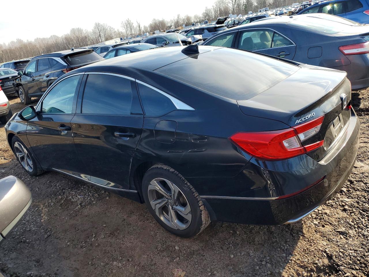 Honda Accord Exl