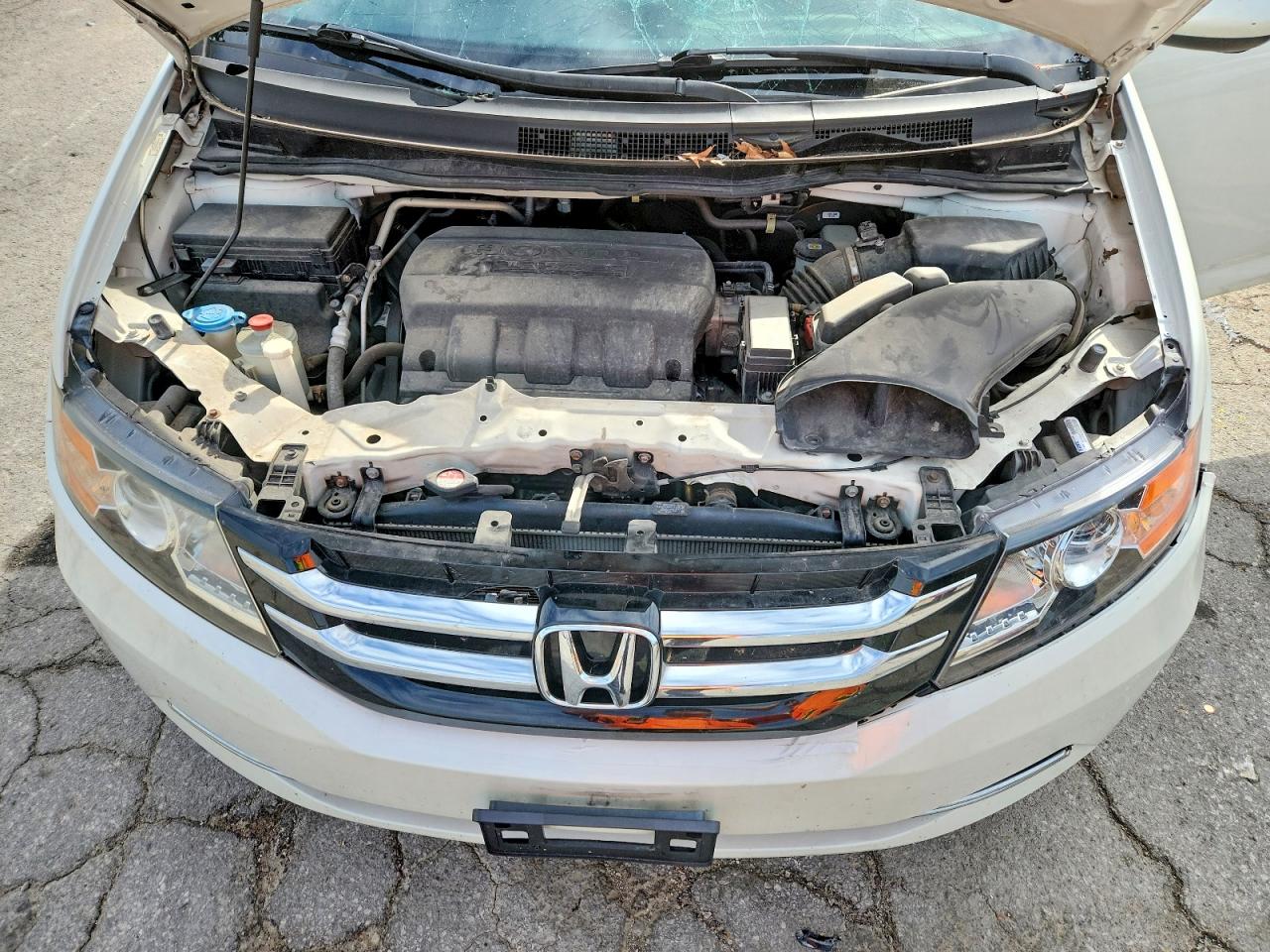Honda Odyssey Exl