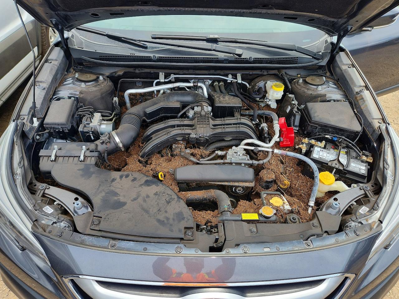 Subaru Outback Premium