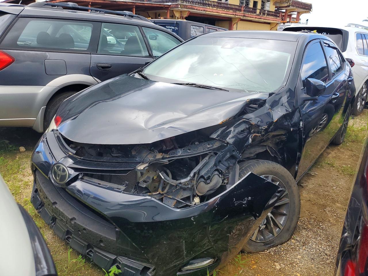 Salvage Toyota Corolla Image