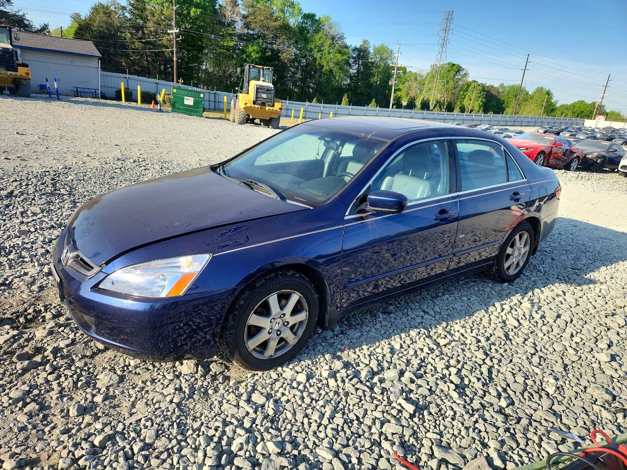 Salvage Honda Accord Image