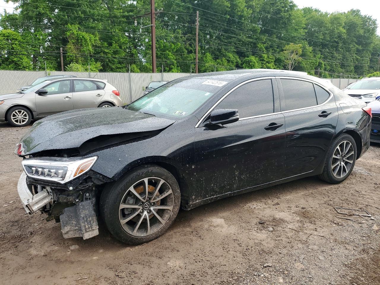 Salvage Acura TLX Image