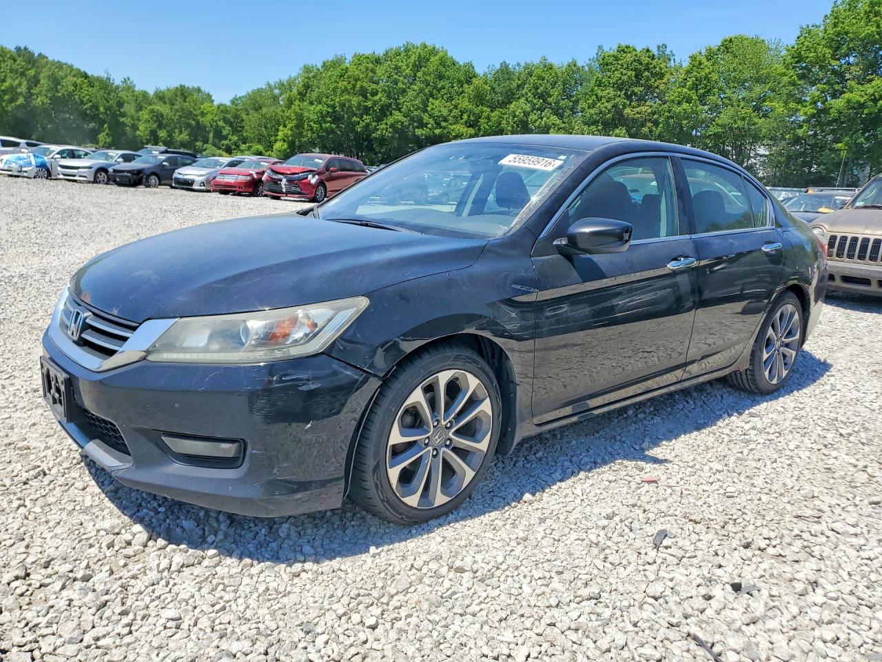 Salvage Honda Accord Image