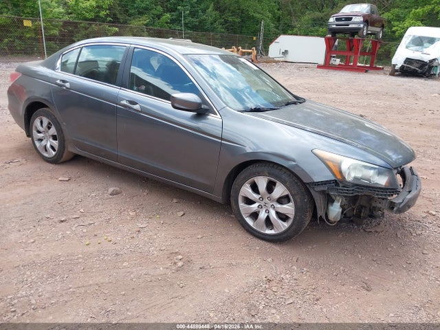 Salvage Honda Accord Image