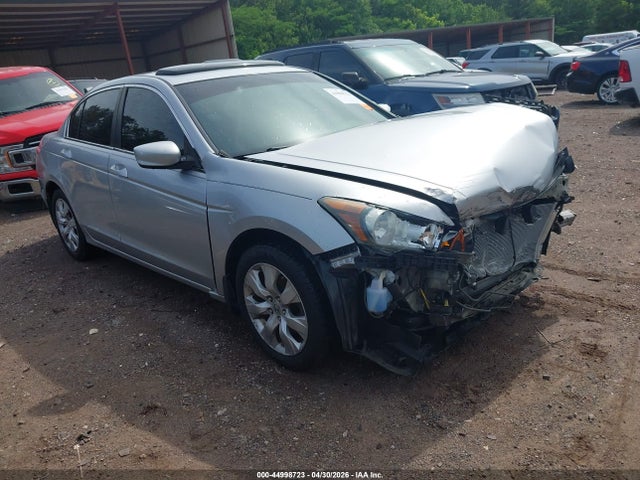 Salvage Honda Accord Image