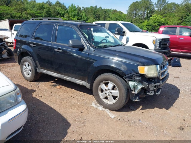 Salvage Ford Escape Image