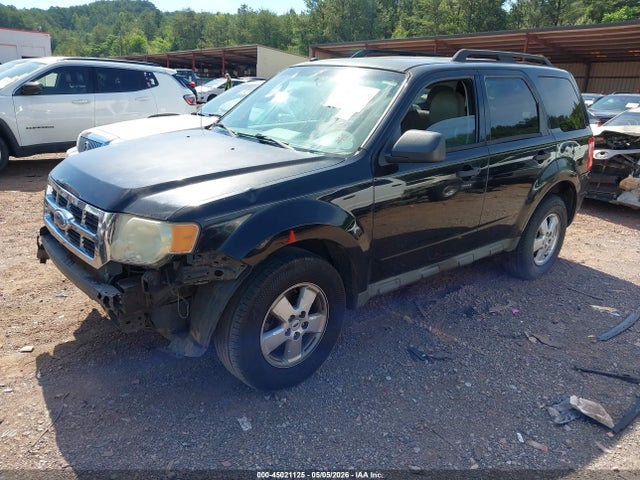 Ford Escape Xlt