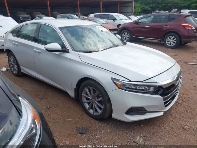 Salvage Honda Accord Image