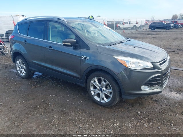 Salvage Ford Escape Image