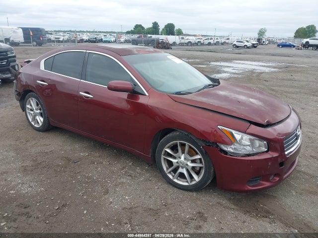 Salvage Nissan Maxima Image
