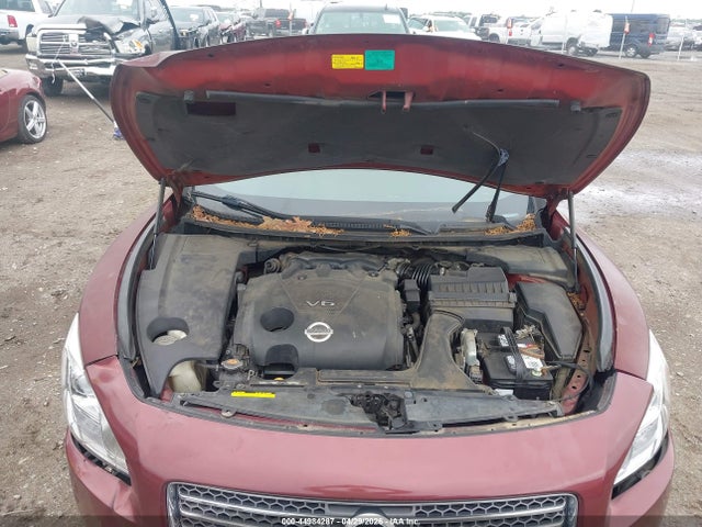 Nissan Maxima 3.5 S