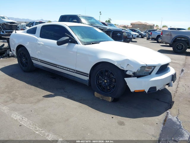 Salvage Ford Mustang Image