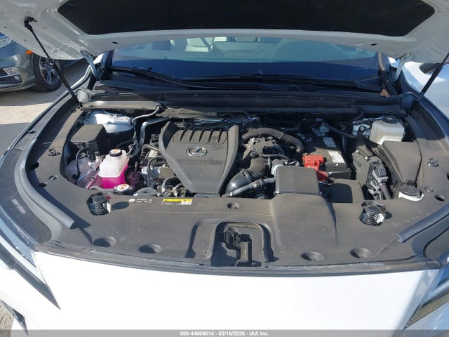 Lexus RX Premium