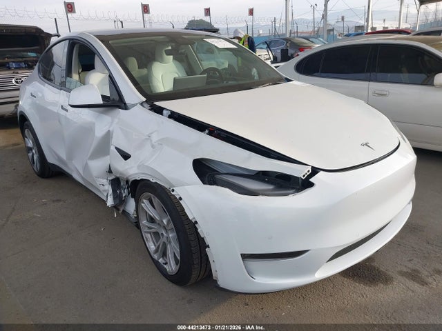 Salvage Tesla Model Y Image