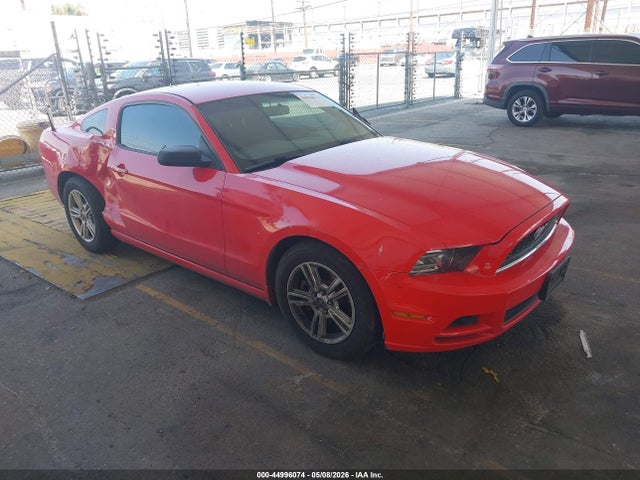 Salvage Ford Mustang Image