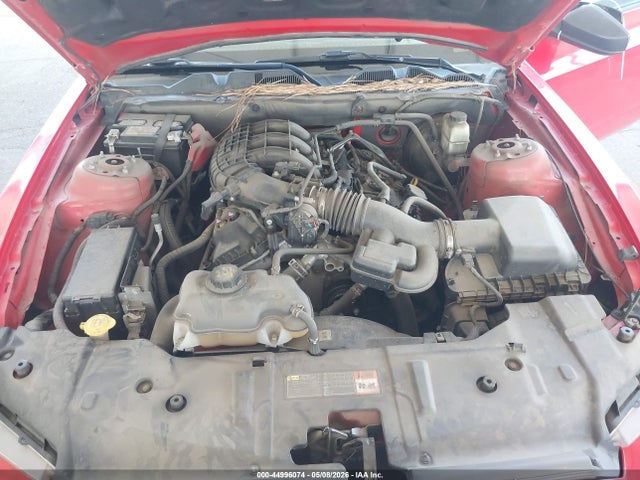 Ford Mustang V6