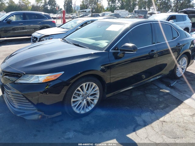 Toyota Camry Xle V6