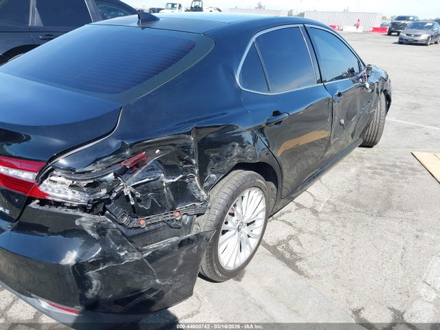 Toyota Camry Xle V6
