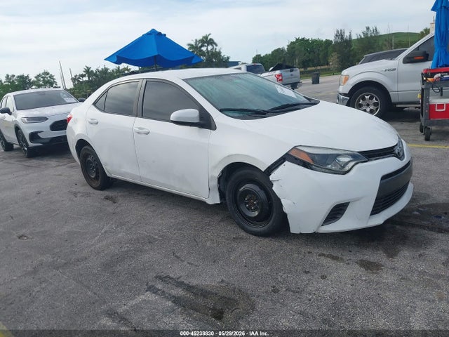 Salvage Toyota Corolla Image