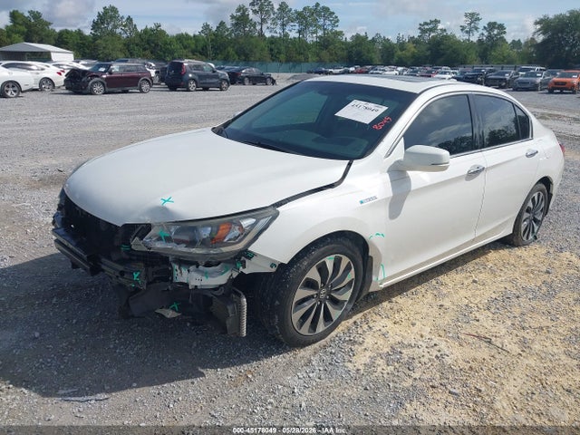 Honda Accord Ex-l