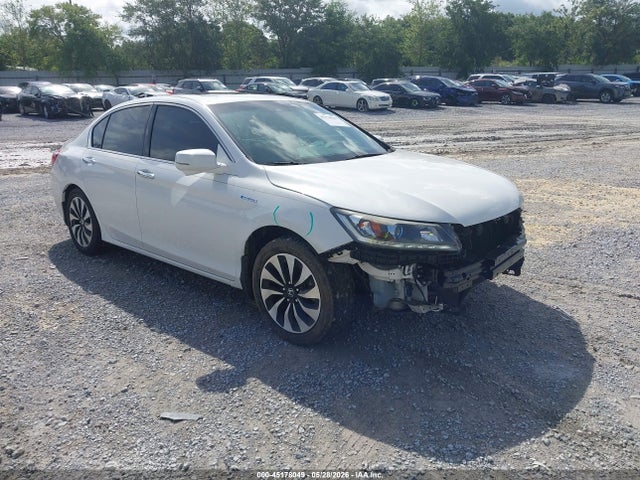 Salvage Honda Accord Image