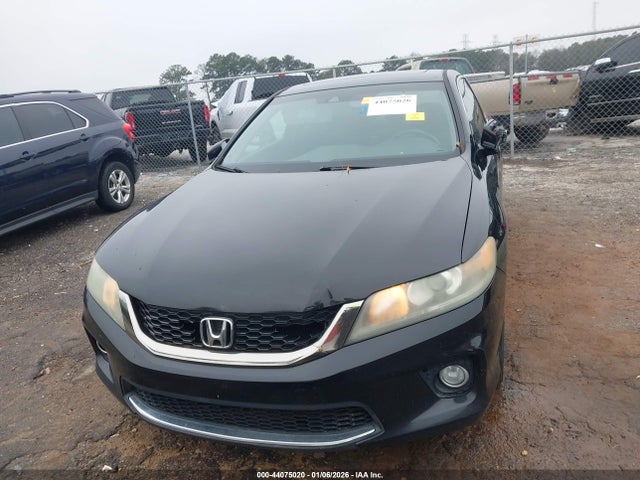 Honda Accord Ex-l