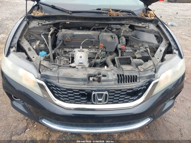 Honda Accord Ex-l