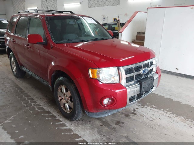Salvage Ford Escape Image