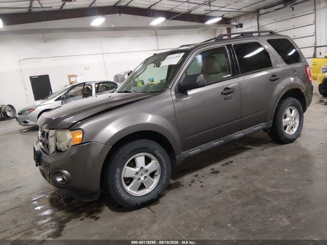 Ford Escape Xlt