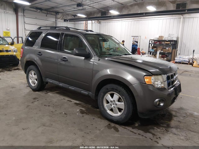 Salvage Ford Escape Image