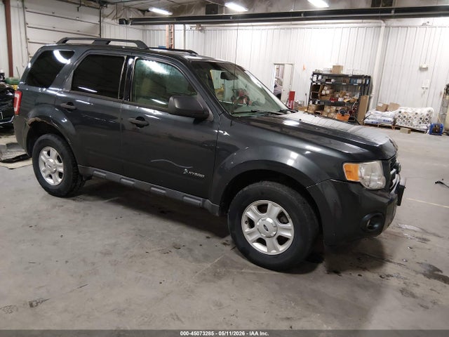 Salvage Ford Escape Image
