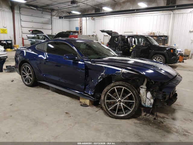 Salvage Ford Mustang Image