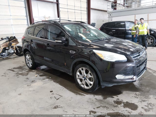 Salvage Ford Escape Image